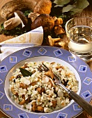 Mushroom risotto with forest mushrooms on plate