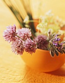 Herbs and herb flowers in orange bowl