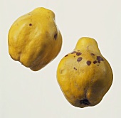 Two Quinces