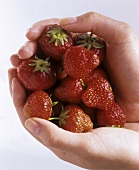 Hände halten frisch gewaschene Erdbeeren