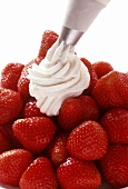 Fresh Strawberries with a Dollup of Whipped Cream