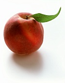 A Peach with Leaf