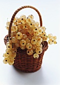 A Wicker Basket Full of White Currants