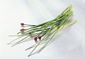 Chives with closed flowers