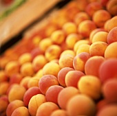 Lots of apricots