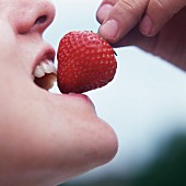 Mädchen beisst in grosse rote Erdbeere