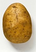 A Linda potato