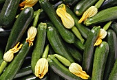 Courgettes and courgette flowers (filling the picture)