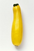 Gelbe Zucchini