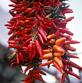 Chili peppers hanging on strings
