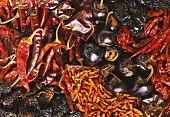 Verschiedene getrocknete Chillies (bildfüllend)