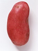 Red sweet potato