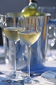 Two glasses of white wine on table in front of wine cooler