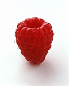 A raspberry on white background