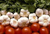 Basil, Garlic and Tomatoes
