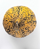Turkish musk melon (from above)