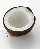 Half a coconut (cross section)
