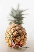 Eine Ananas