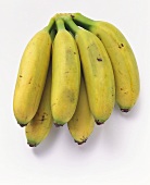 A bunch of baby bananas on white background