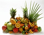 Lots of exotic fruits on white background