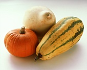 Three different pumpkins on white background