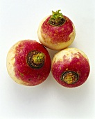 Three navettes (white turnip)