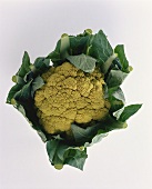 Green cauliflower