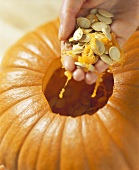 Hollowing out: hand taking seeds out of pumpkin