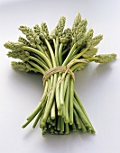 A bundle of wild asparagus, tied together with bast
