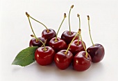Several cherries of the Italian variety Ferania