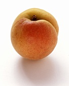 An apricot