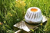 Alsatian gugelhupf on kitchen board in grass