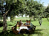 Family eating light meal under apple tree in a meadow
