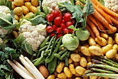 Various spring vegetables, filling the picture