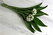 A bunch of ramsons (wild garlic)