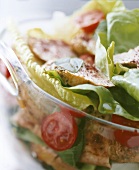 Mixed salad leaves with tomatoes and chicken breast fillets