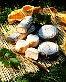 Various goat's cheeses with knife on straw mat