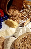 Still life: grains of wheat, flour, crushed grains & oat flakes