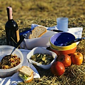 Picnic with rice salad, courgettes, apples etc