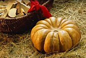A Japanese pumpkin lying in hay; a basket behind