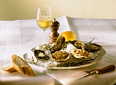 A plate of oysters and lemon