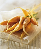 Bunch of carrots lying on a linen cloth