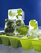 Parsley Frozen in Ice Cubes