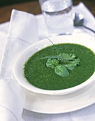 Spinach and herb soup