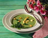 Parsley soup with croutons