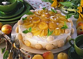 Cream cheese gateau with apricot filling
