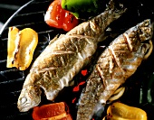 Grilled trout and peppers