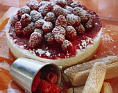 Berry cheesecake with sponge fingers