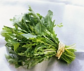 Ein Bund Rucola