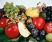 Herbstfrüchte auf Weinblättern